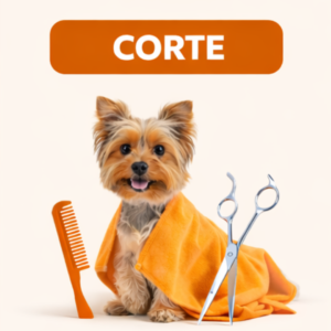 Corte