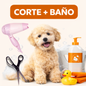 Corte + Baño