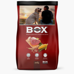 Box Adultos