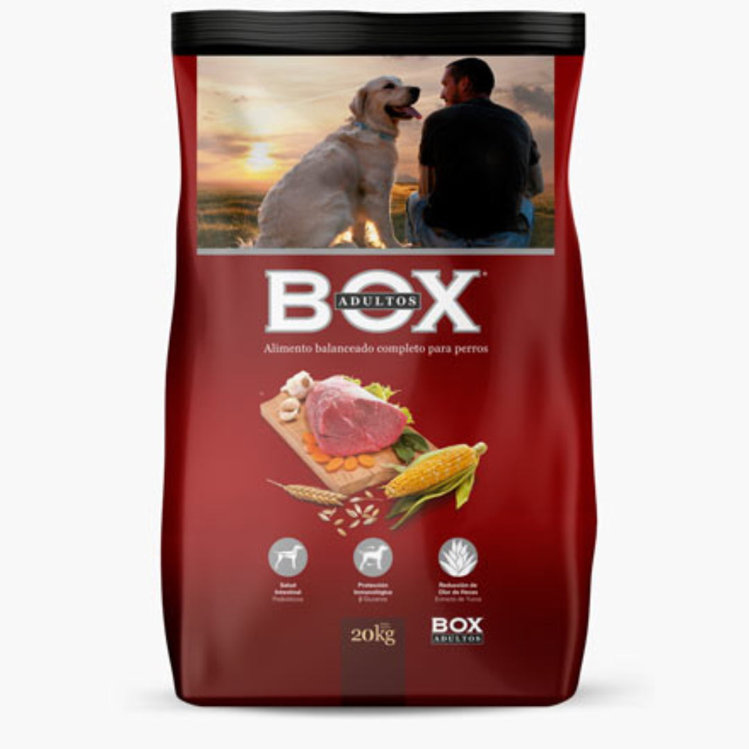 Box Adultos